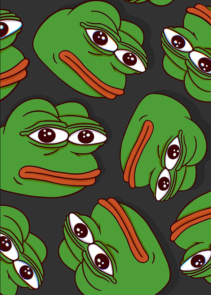Frog Meme cartoon frog