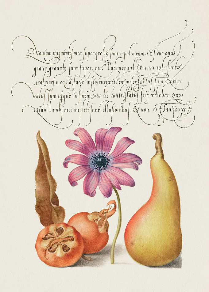 medieval manuscript