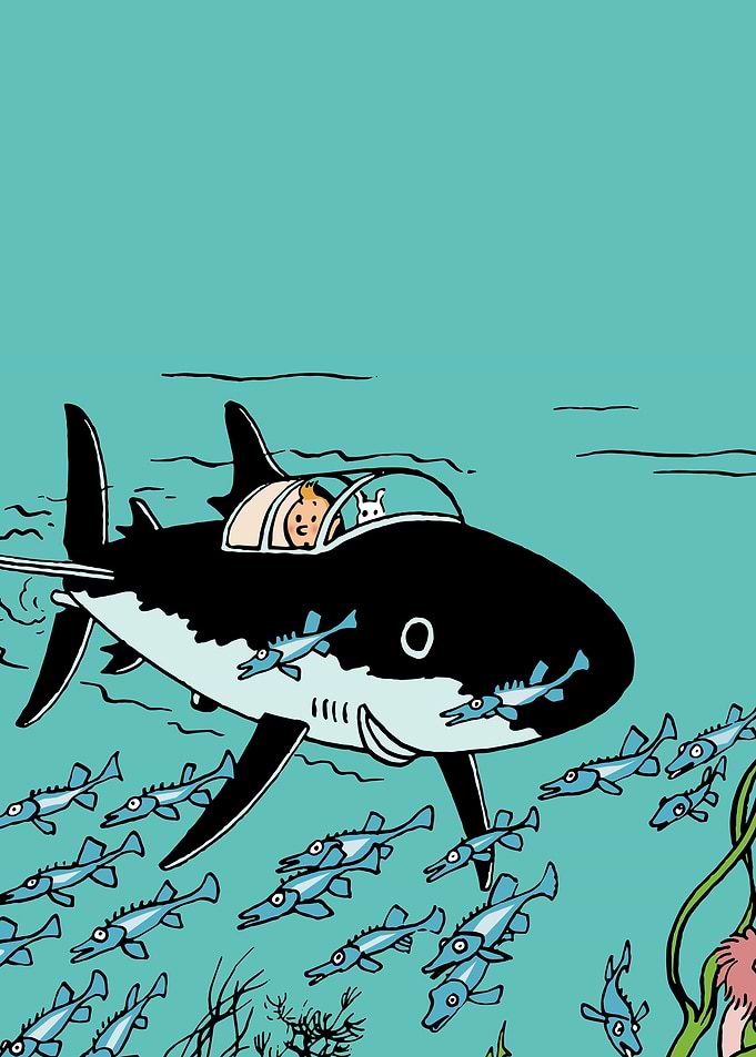 tintin and shark