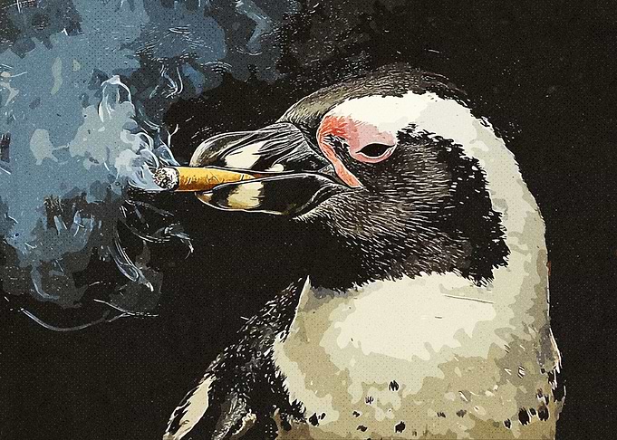 Penguin Smoke