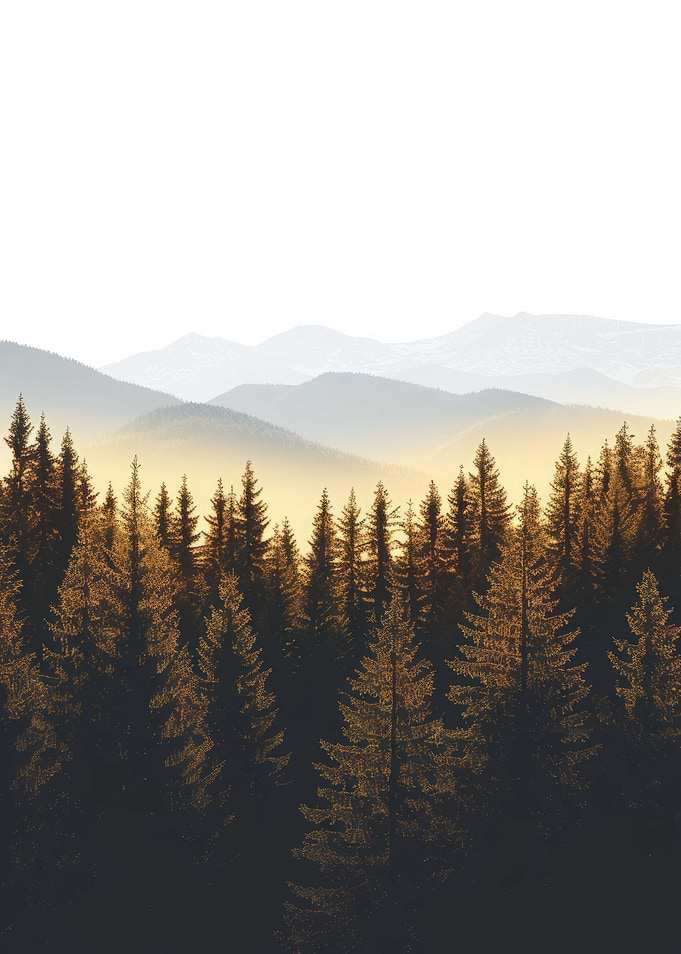 Nature Gold Decor