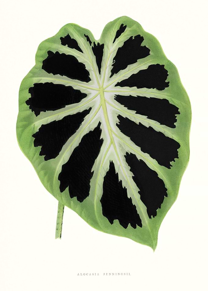 Vintage Leaf Green
