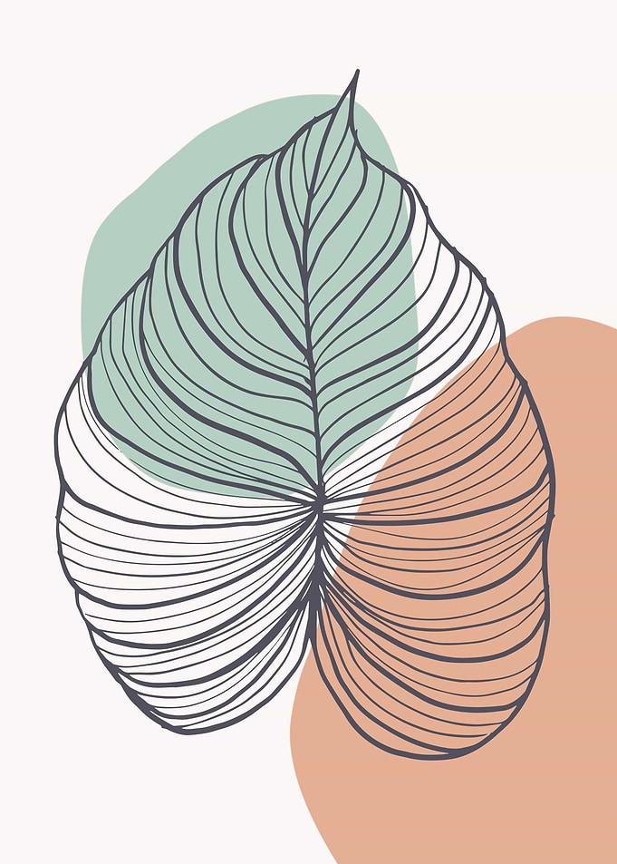 Monstera Tropical leaf