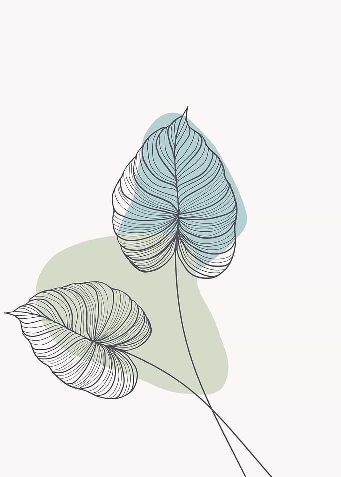 monstera leaves modern