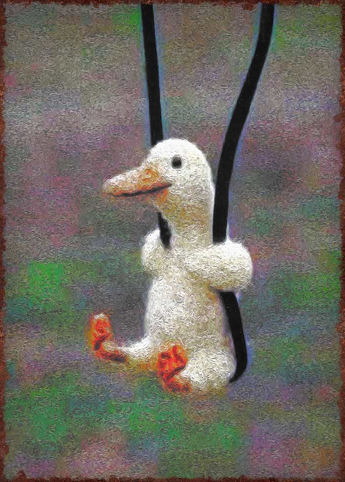 swing happy duck