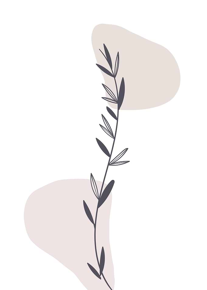 Minimalist leaf branch