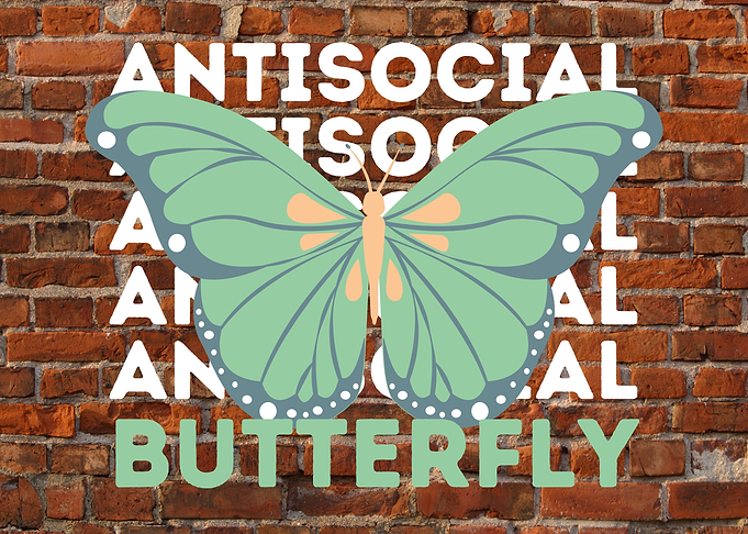 Anti Social Butterfly