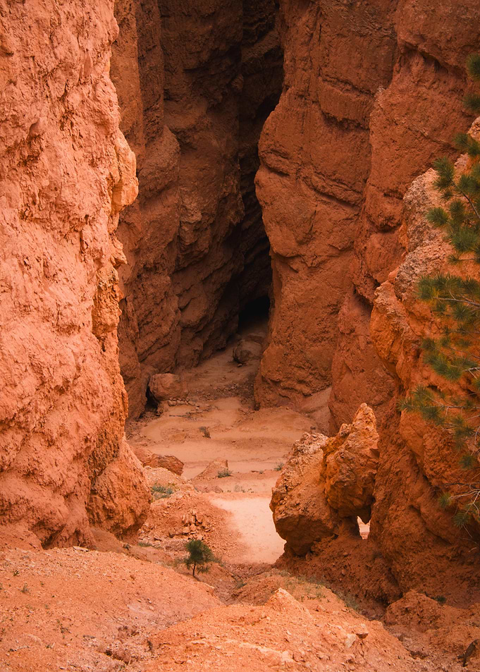 Secret Canyon Trail