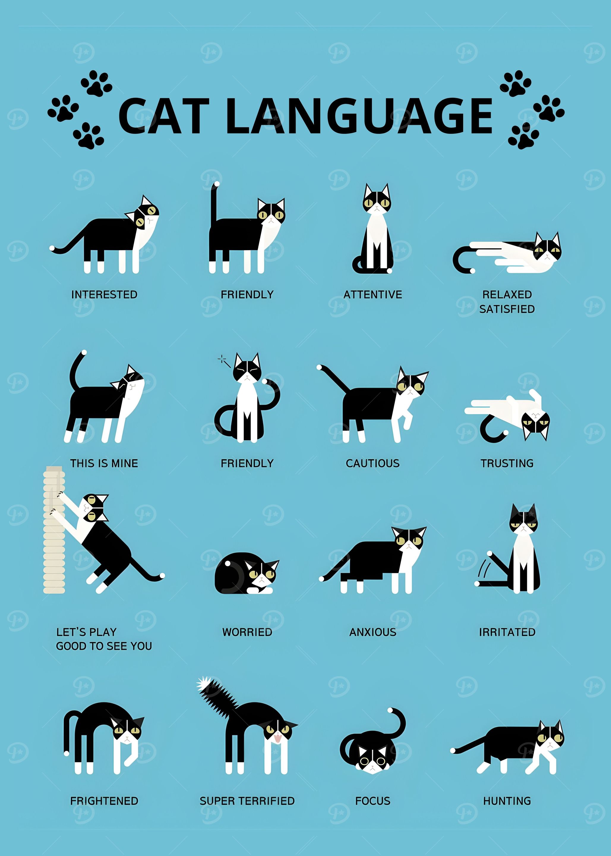 Cat Language poster
