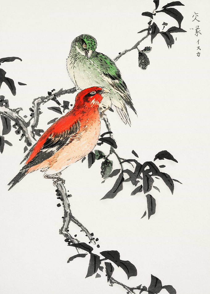 Crossbill