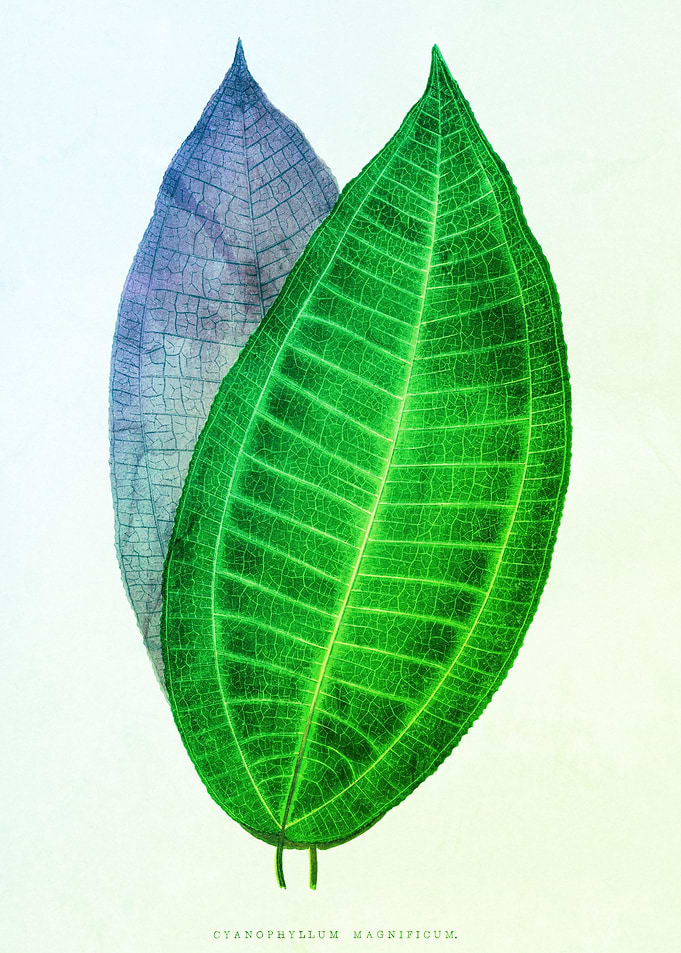 Vintage Foliage Elegant