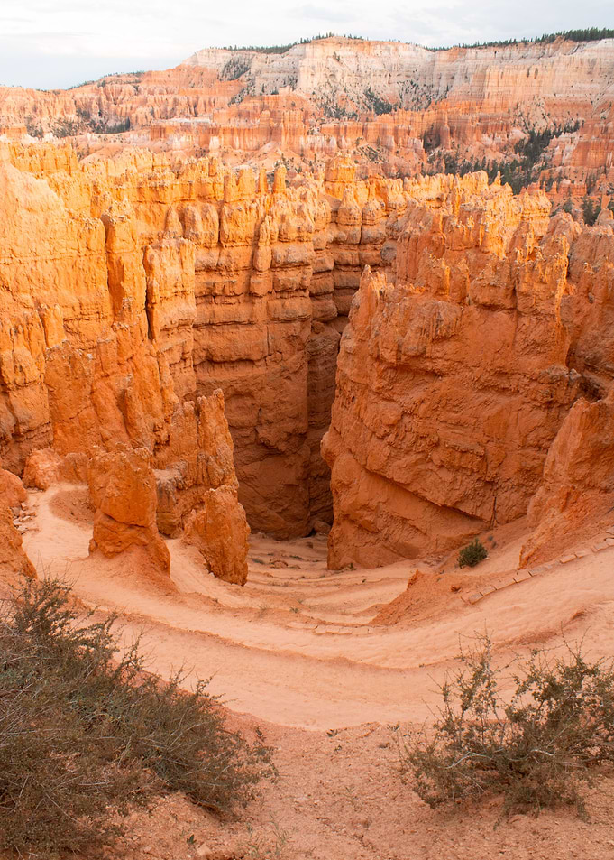 Descent Into Canyon