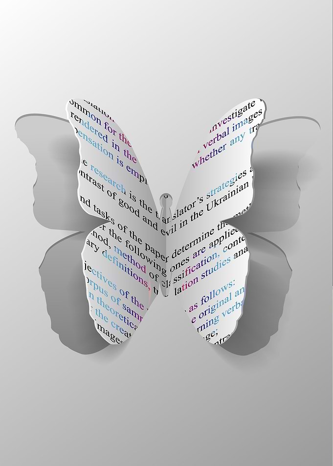 butterfly