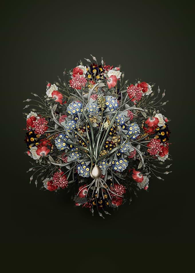 Muscari Ambrosiacum Wreath