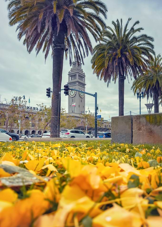 Ferry Building