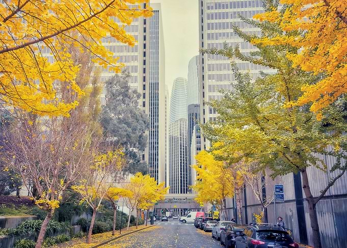 Winter in San Francisco