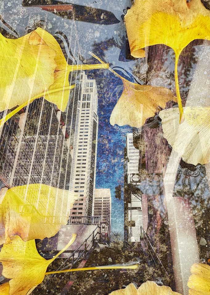 Reflection of the City