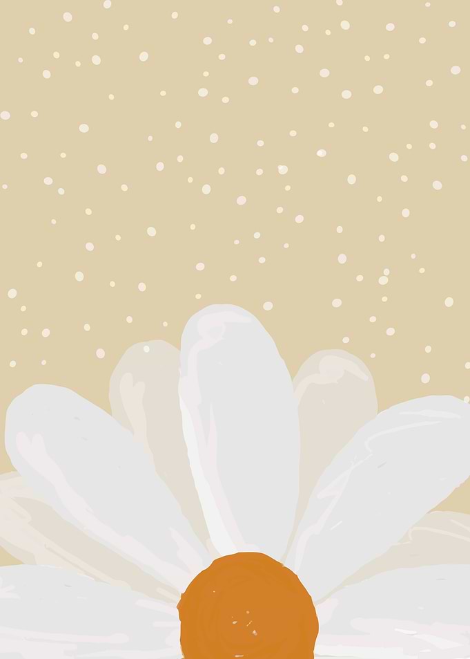 Daisy flower