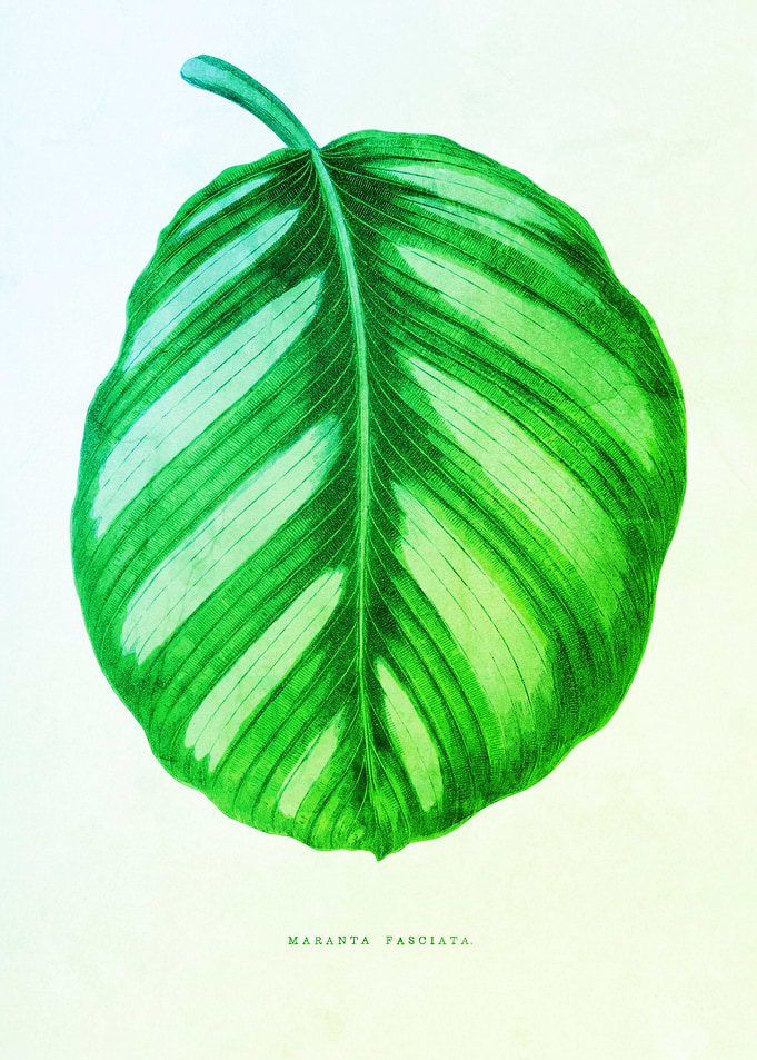 Elegant Vintage Leaf