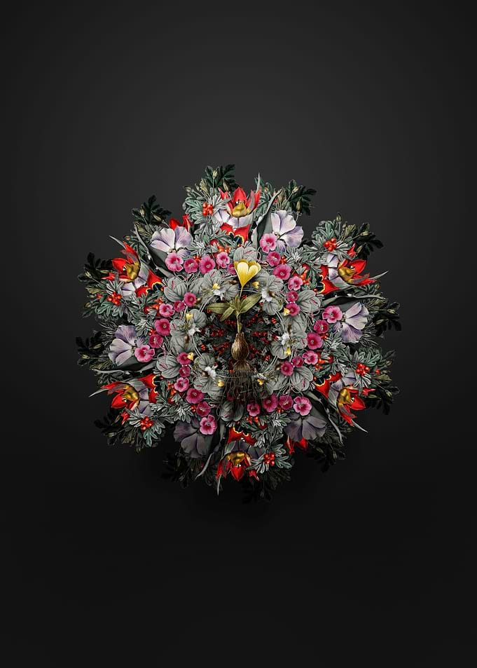 Cape Tulip Floral Wreath