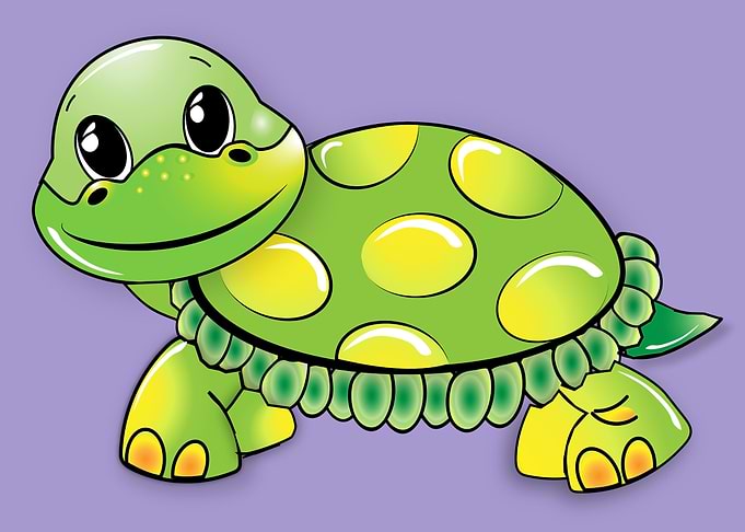 Cute amphibian animal