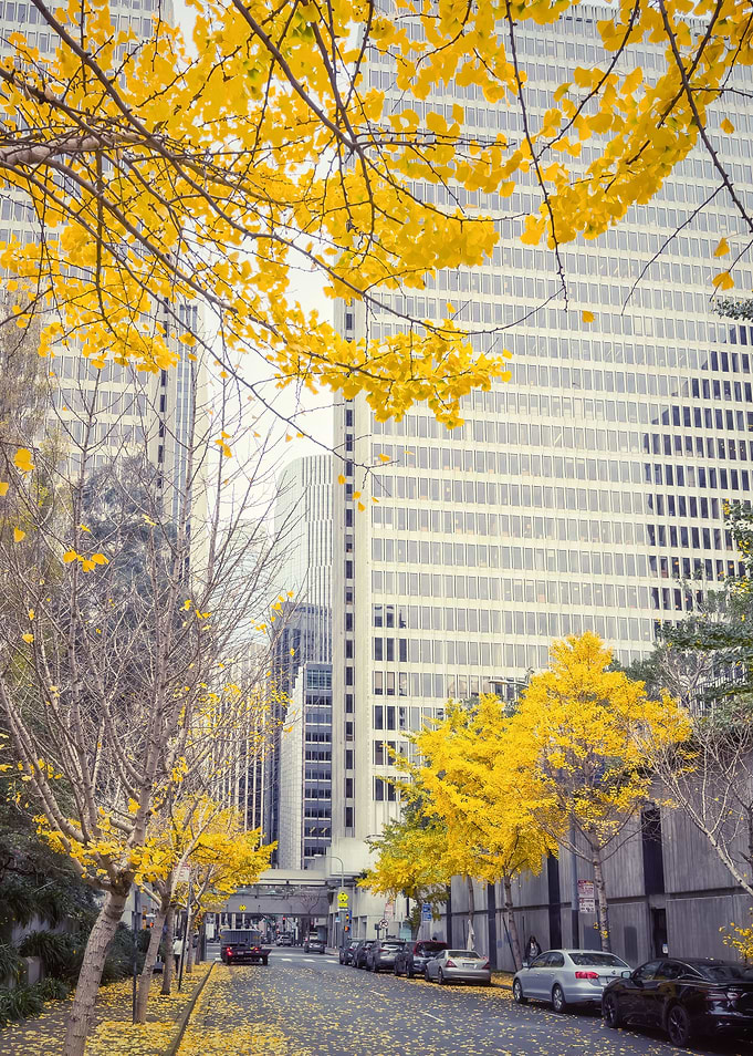 Golden Season