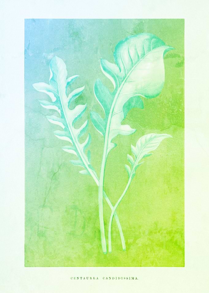 Classic Foliage Elegance