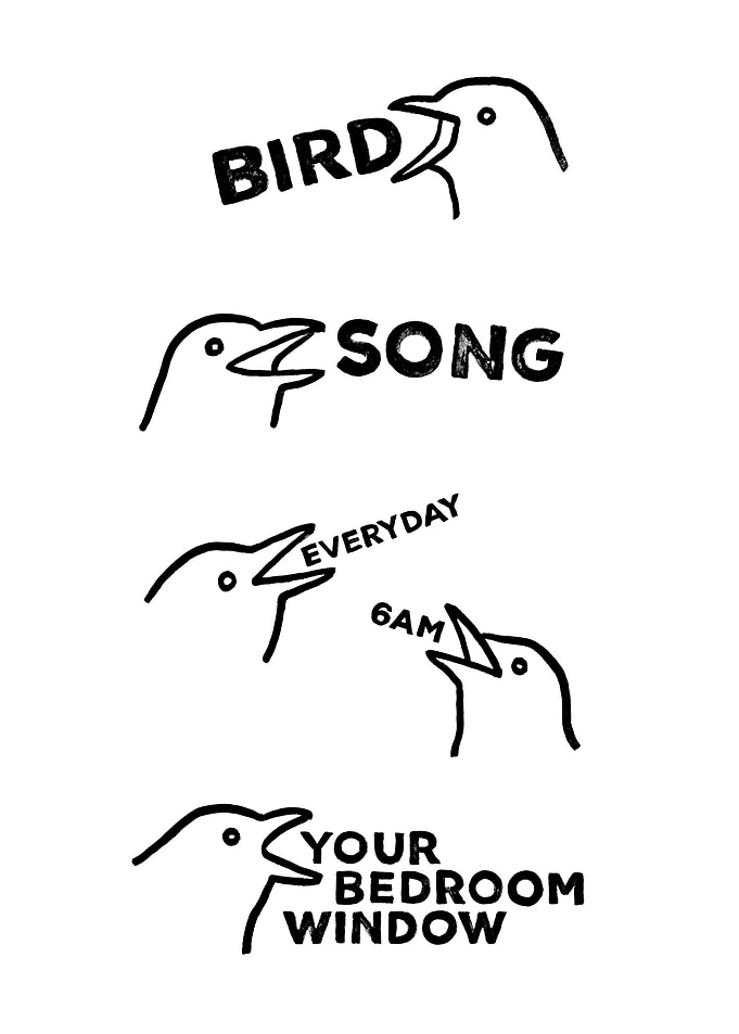 Bird