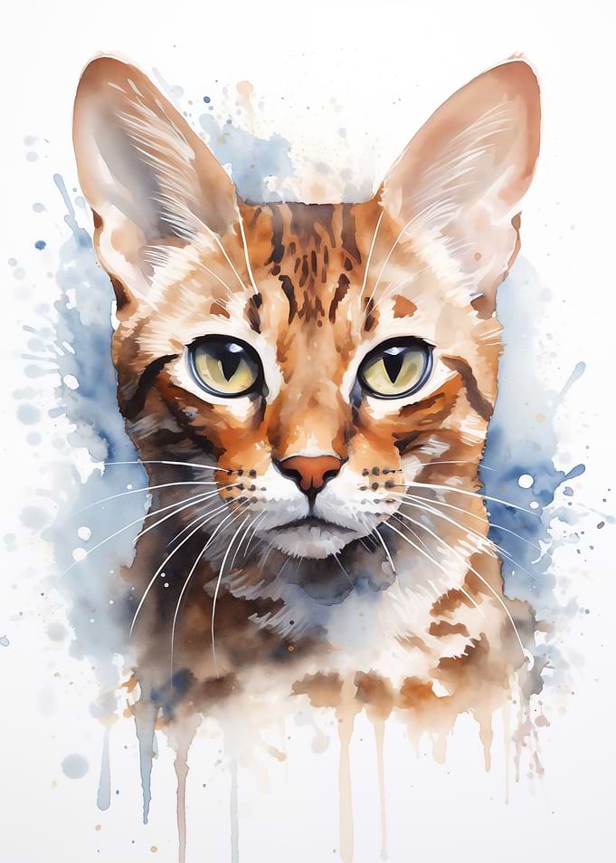 Arabian Mau cat portrait