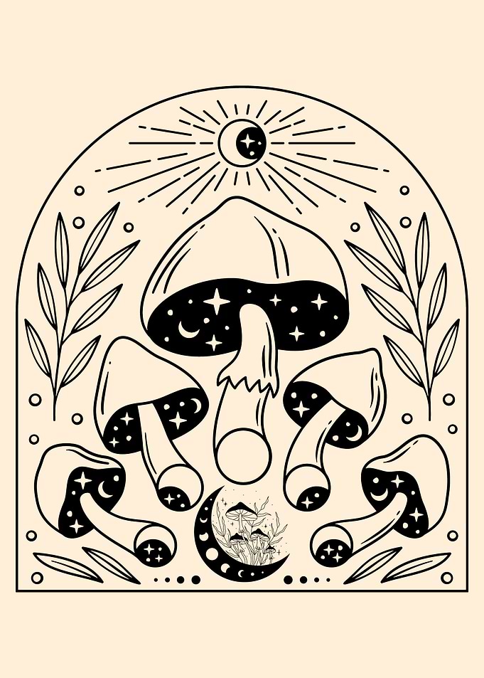 Mushroom in the Night