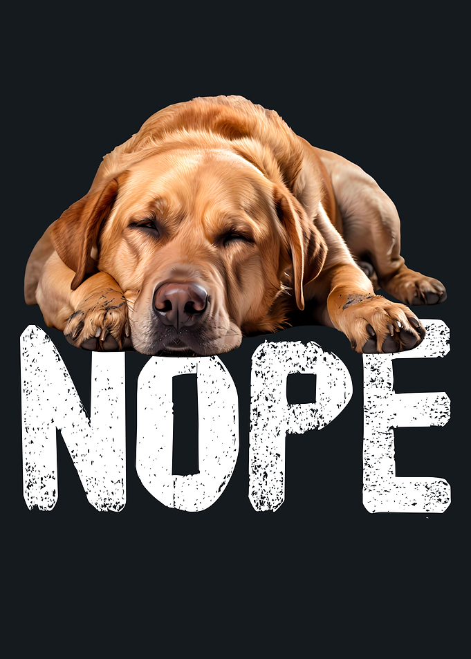 Labrador Nope Gift