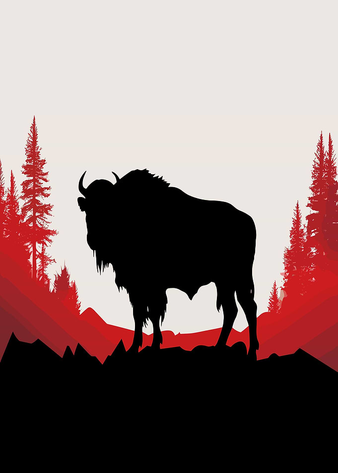 bison art