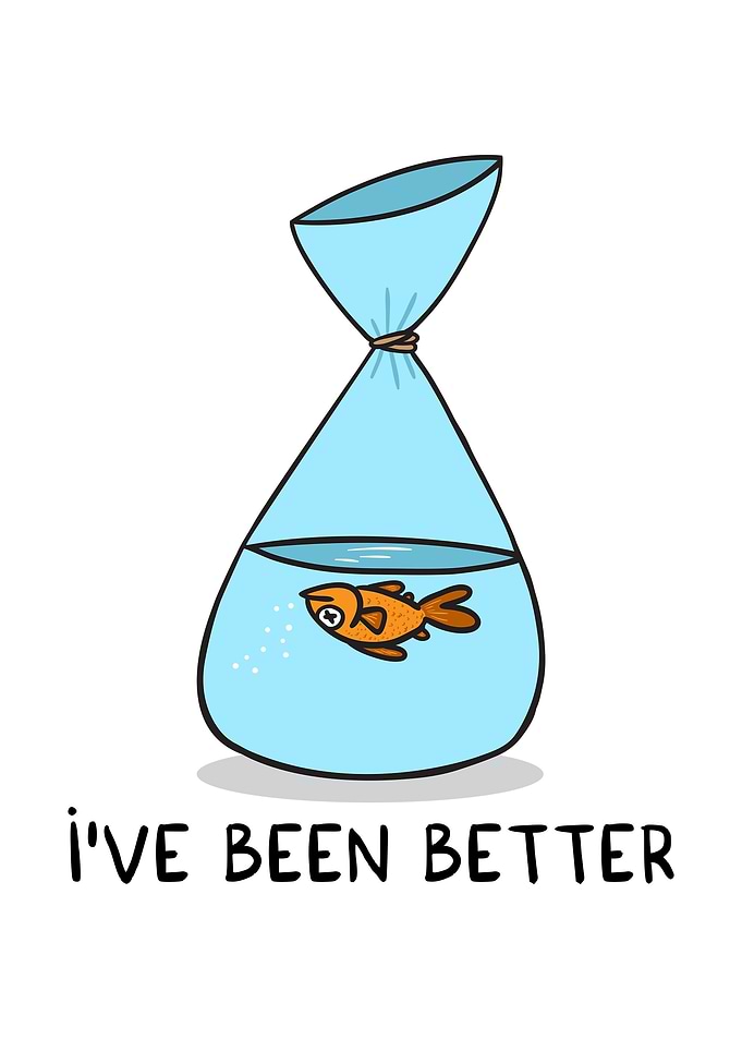 I have been better