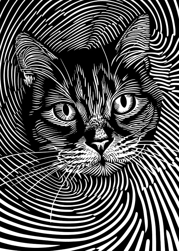 Spiral cat face
