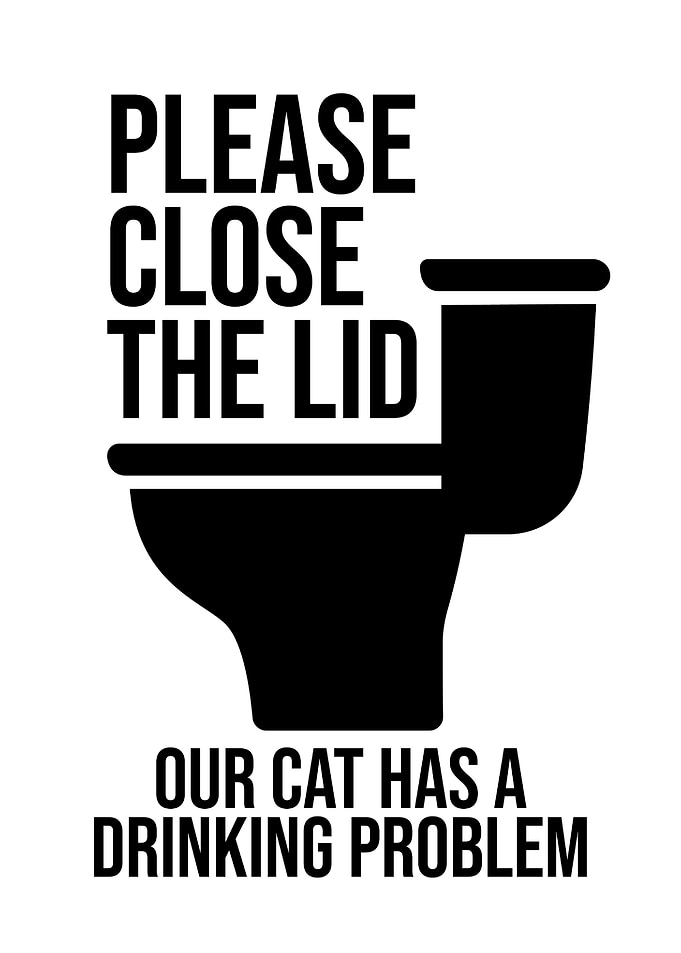 Please Close The Lid