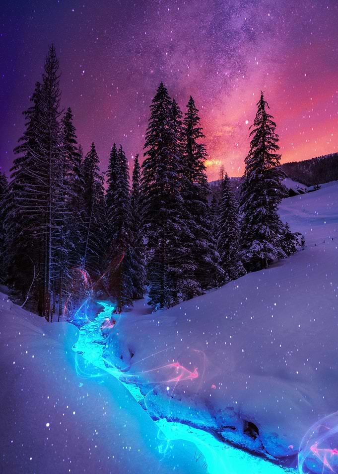 Snowy Forest