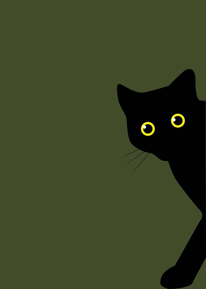Funny Cat Curious