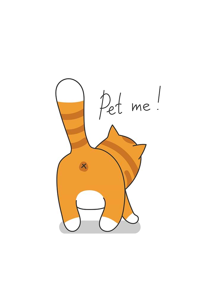 Polite Cat Meme