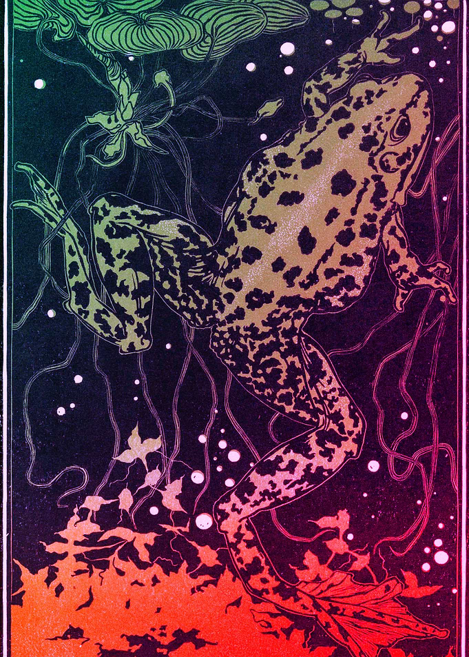 Swimming Frog Art