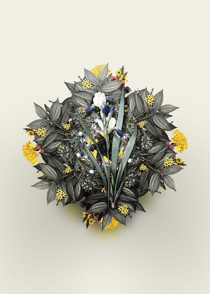 Tall Bearded Iris Wreath