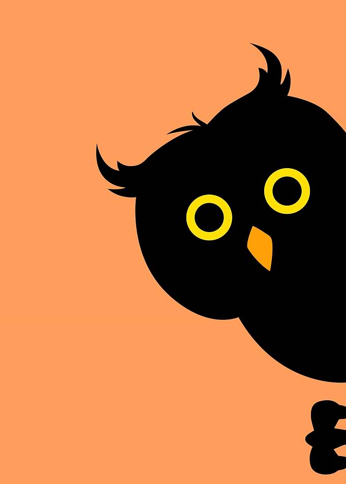 Funny Geek Owl