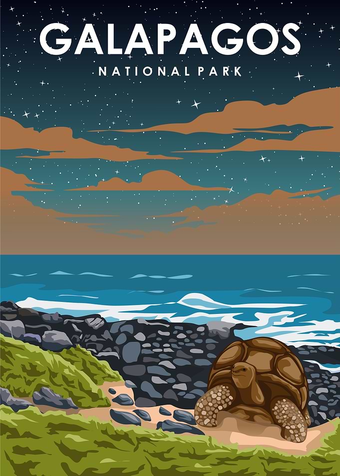 Galapagos at Night