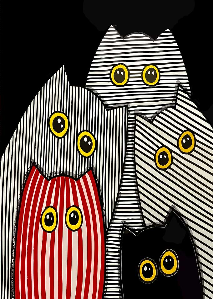 5 yellow eyed cats