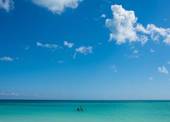 BLUE OCEAN