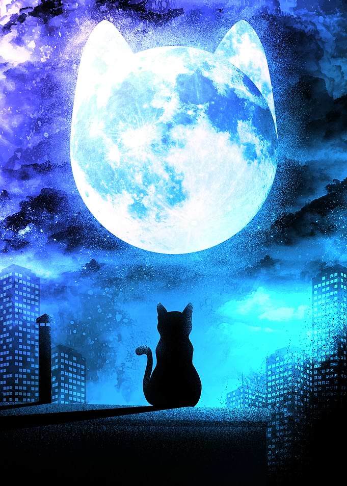 Moonlight Cat