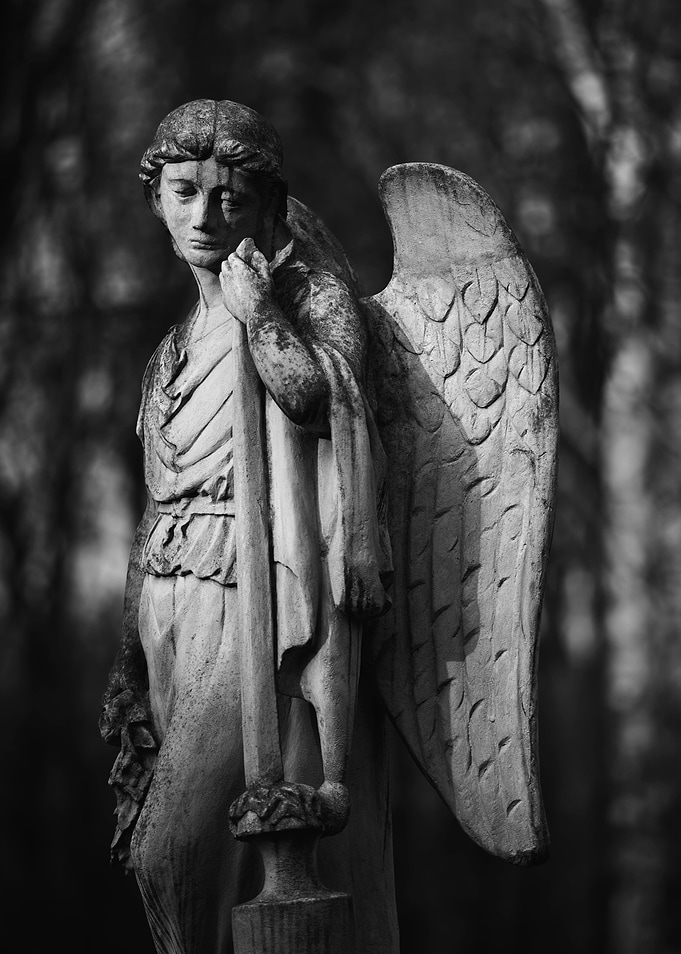 Angel In Black And White