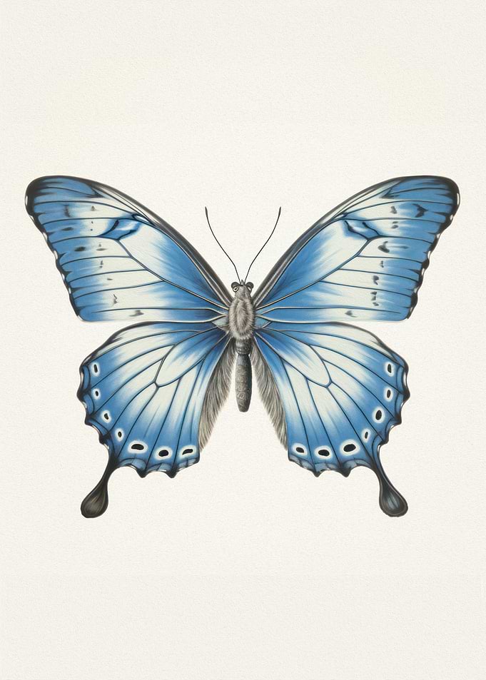 Sapphire Wings