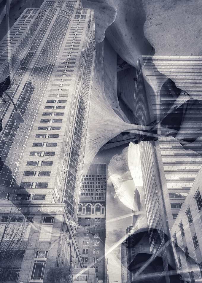 City in Fall bw