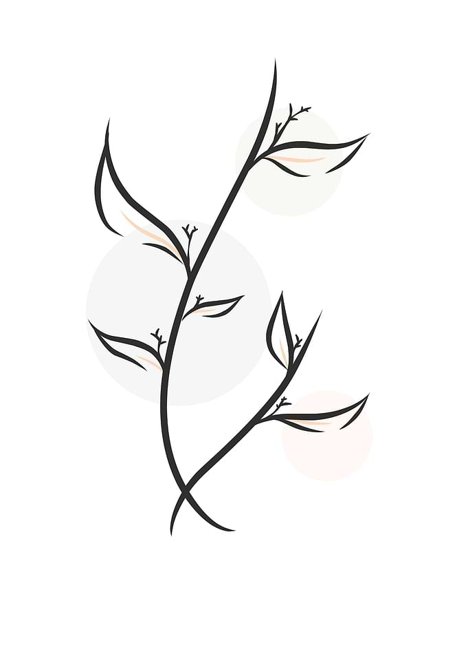 Abstract Flower