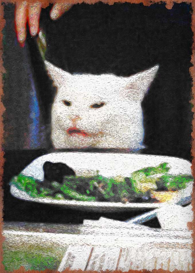 woman yelling at a cat 2